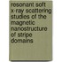 Resonant soft X-ray scattering studies of the magnetic nanostructure of stripe domains