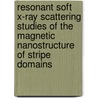 Resonant soft X-ray scattering studies of the magnetic nanostructure of stripe domains door J.F. Peters