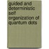 Guided and deterministic self organization of quantum dots