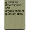 Guided and deterministic self organization of quantum dots door E. Selçuk