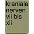 Kraniale Nerven Vii Bis Xii
