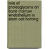 Role of proteoglycans on bone marrow wndothelium in stem cell homing