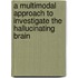 A multimodal approach to investigate the hallucinating brain