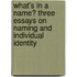 What's in a name? Three essays on naming and individual identity