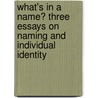 What's in a name? Three essays on naming and individual identity by P.M.G.P. Vandermeersch