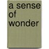 A sense of wonder