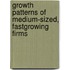 Growth patterns of medium-sized, fastgrowing firms