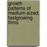 Growth patterns of medium-sized, fastgrowing firms by W.H.J. Verhoeven