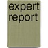 Expert report