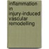 Inflammation in injury-induced vascular remodelling
