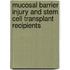 Mucosal barrier injury and stem cell transplant recipients
