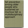 Fall prevention among older people who sustained an injurious fall: a multidisciplinary approach door M.H.C. Bleijlevens