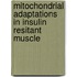 Mitochondrial adaptations in insulin resitant muscle