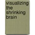 Visualizing the Shrinking Brain