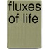 Fluxes of life