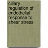 Ciliary regulation of endothelial response to shear stress door Anastasia D. Egorova