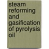 Steam reforming and gasification of pyrolysis oil door G. van Rossum