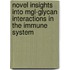 Novel Insights Into Mgl-glycan Interactions In The Immune System