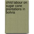 Child Labour on Sugar Cane Plantations in Bolivia