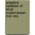 Adaptive radiation of blind subterranean mol rats