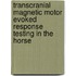 Transcranial magnetic motor evoked response testing in the horse