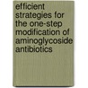 Efficient strategies for the one-step modification of aminoglycoside antibiotics door Andreas Bastian