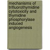 Mechanisms of trifluorothymidine cytotoxicity and thymidine phosphorylase induced angiogenesis door I. Bijnsdorp