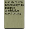 A Study of Iron Based Alloys by Positron Annihilation Spectroscopy by Khaled Mohamed Mostafa