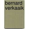 Bernard Verkaaik door Koen Nieuwendijk