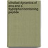 Ultrafast Dynamics Of Dna And A Tryptophan/containing Peptide
