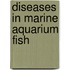 Diseases in marine aquarium fish
