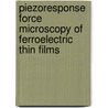 Piezoresponse force microscopy of ferroelectric thin films door A. Morelli