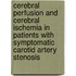 Cerebral Perfusion and Cerebral Ischemia in Patients with Symptomatic Carotid Artery Stenosis