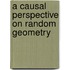 A Causal Perspective on Random Geometry