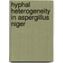 Hyphal heterogeneity in Aspergillus niger