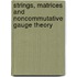 Strings, matrices and noncommutative gauge theory