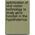 Optimization of viral vector technology to study gene function in the hypothalamus