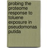 Probing the proteome response to toluene exposure in Pseudomonas putida by D. Wijte