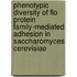 Phenotypic diversity of Flo protein family-mediated adhesion in Saccharomyces cerevisiae