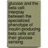 Glucose and the beta cell: interplay between the specialized phenotype of insulin-producing beta cells and their glucose sensing