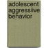 adolescent aggressiive behavior