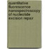 Quantitative fluorescence nanospectroscopy of nucleotide excision repair