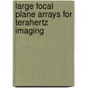 Large focal plane arrays for terahertz imaging door Annalisa Iacono