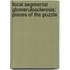 Focal Segmental Glomerulosclerosis: Pieces of the Puzzle