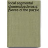 Focal Segmental Glomerulosclerosis: Pieces of the Puzzle door J.K.J. Deegens