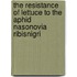 The resistance of lettuce to the aphid Nasonovia ribisnigri