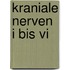 Kraniale Nerven I Bis Vi
