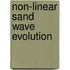 Non-linear sand wave evolution