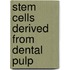 Stem cells derived from dental pulp