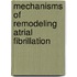 Mechanisms of remodeling atrial fibrillation